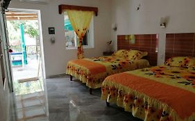 Los Girasoles